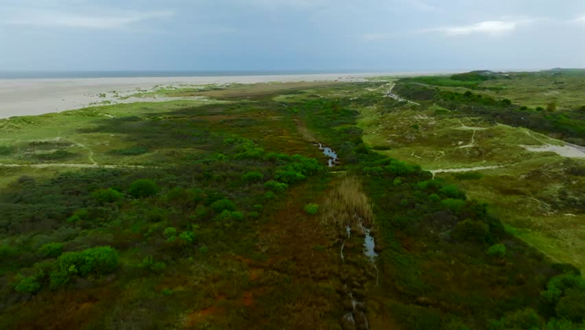 Flyover lush marshland with winding streams, sand dunes and vast beach under cloudy skies on Borkum Island.