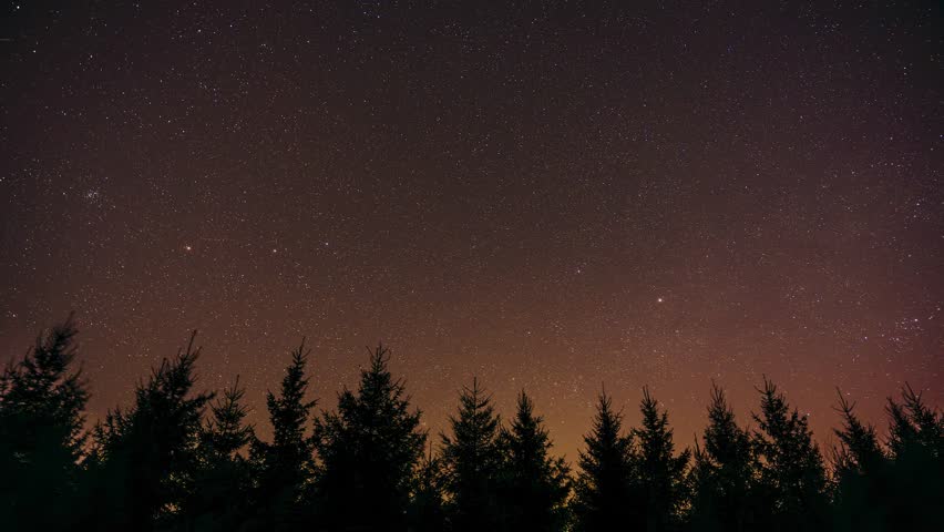 Stargazing timelapse of glittering stars and mild aurora borealis appearing above fir tree forest silhouettes. Looking up into starry night sky over pine forest treetops.