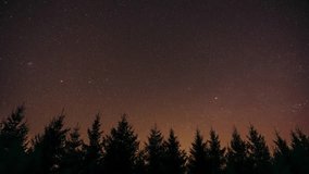Stargazing timelapse of glittering stars and mild aurora borealis appearing above fir tree forest silhouettes. Looking up into starry night sky over pine forest treetops. - Powered by Shutterstock - Get 15% off with code: PIKWIZARD15