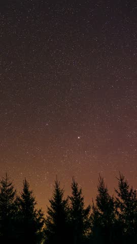 Vertical timelapse of glittering stars and violet aurora borealis appearing above fir tree forest silhouettes. Looking up into starry night sky over pine forest treetops.