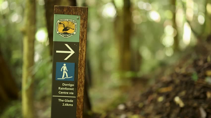 A wooden sign in a lush forest directs hikers to Dorrigo Rainforest Centre. Sunlight filters through the dense canopy