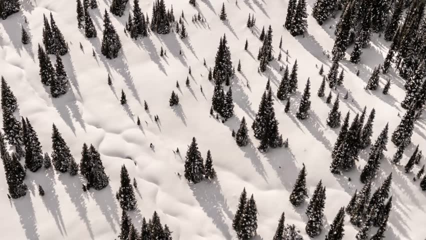 Stunning Aerial View of Snow-Covered Mountains and Pine Forests in British Columbia, Canada During Winter