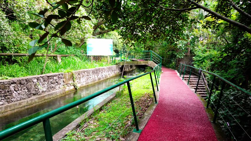 Zoom in on a red pedestrian path and canal surrounded by dense tropical vegetation