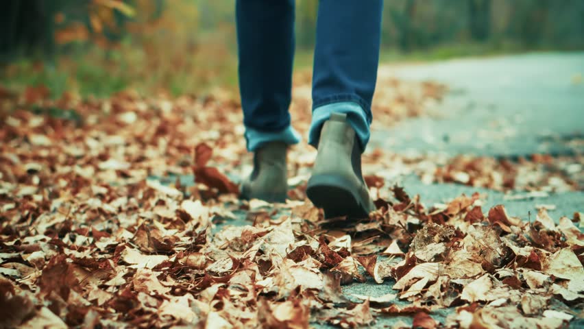 Stylish man walking through autumn park in leather shoes and jeans. Male feet stepping on fallen leaves during cold November day. Seasonal vacation vibes, fall fashion and peaceful nature stroll