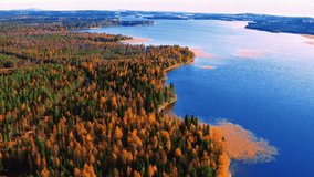 Aerial drone view of fall autumn color forest and blue lake water in rural Finland  - Powered by Shutterstock - Get 15% off with code: PIKWIZARD15