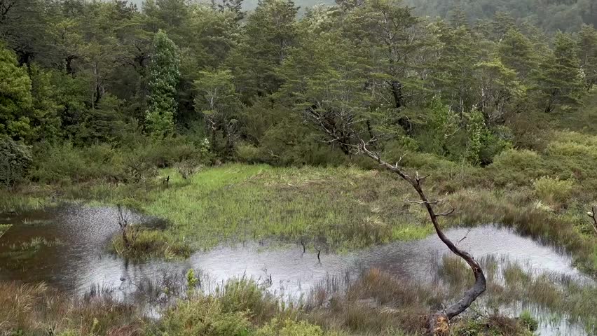 Carreteral austral chile Travel landscape 