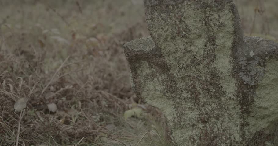 Old Stone Cross In Ancient Graveyard. Slavic Orthodox tombs burials. Babtsy, Vitebsk Region, Belarus. Ungraded C-LOG 2, ungraded, canon c-log
