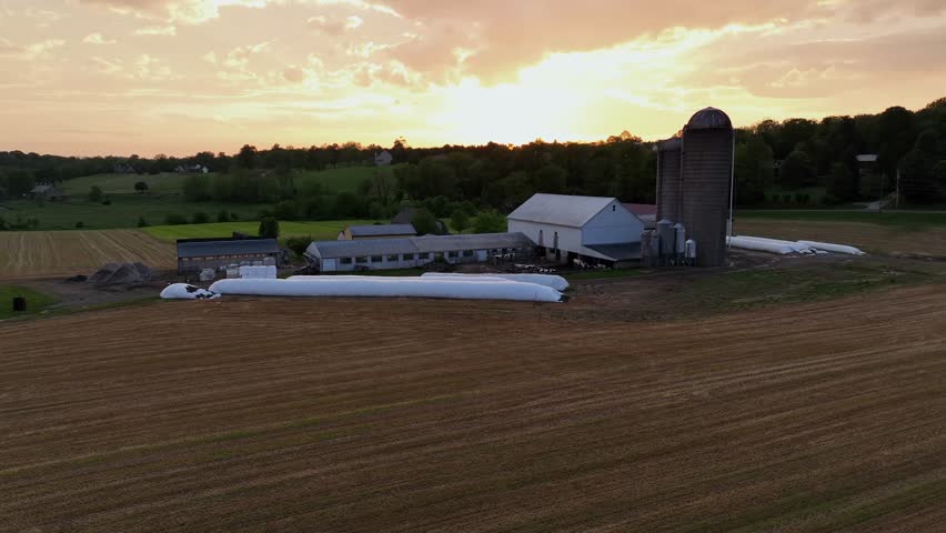 American farm with covered hay bales, green house, stable, barn , silo storage and farmers house. Aerial rising wide shot. Golden sunrise behind farm fields in rural district of american town.