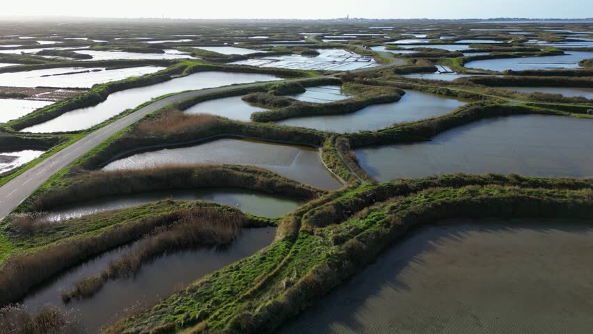 Sunny day over the salt marshes of Guerande, France, beautiful nature, 4k