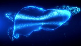 Futuristic 3D animation of human liver forming from particles into a glowing wireframe, representing anatomical structure and hepatitis-related digital scan visuals, lasting 20 seconds Seamless loop - Powered by Shutterstock - Get 15% off with code: PIKWIZARD15