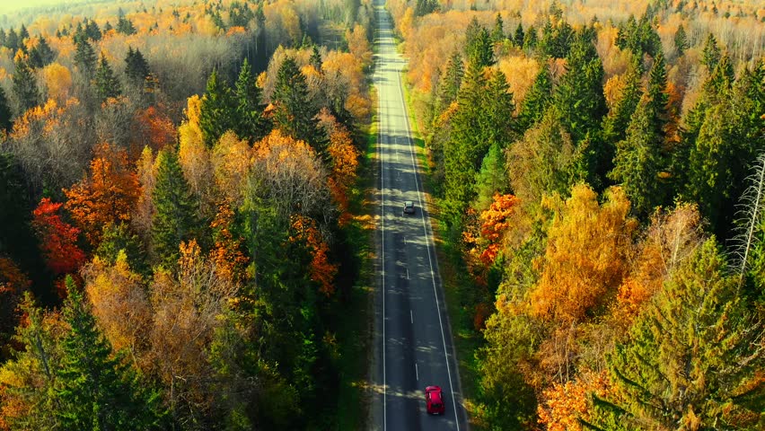 Aerial top down view of curved asphalt road with cars driving and colorful fall autumn forest in rural Finland. 