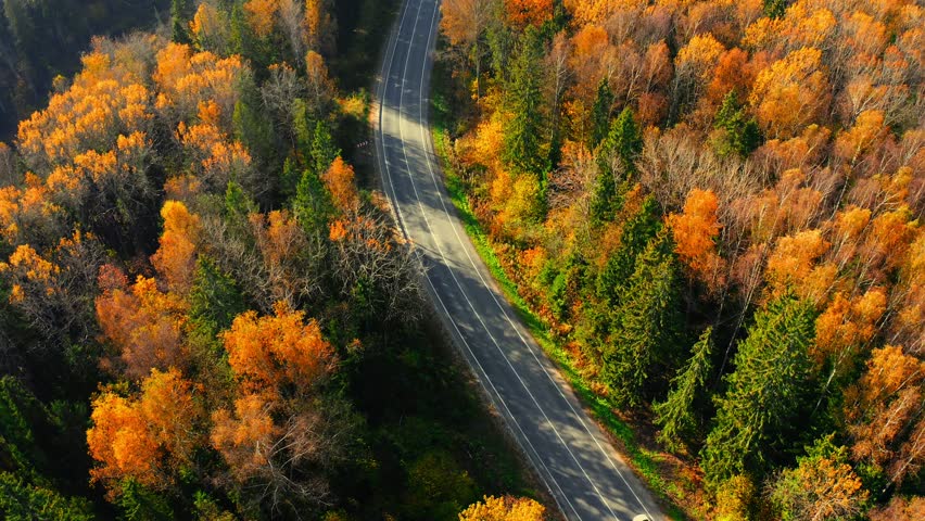 Aerial top down view of curved asphalt road with cars driving and colorful fall autumn forest in rural Finland. 
