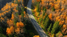 Aerial top down view of curved asphalt road with cars driving and colorful fall autumn forest in rural Finland.  - Powered by Shutterstock - Get 15% off with code: PIKWIZARD15