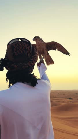 Unrecognizable arab man falconer holding hawk hunter pet against a desert sunset at background, vertical video
