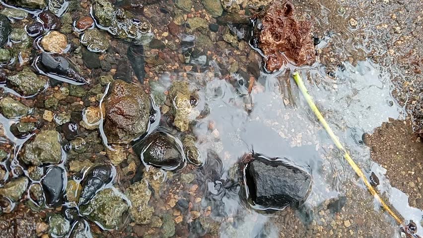 flowing water, colorful stones and dry leaves
