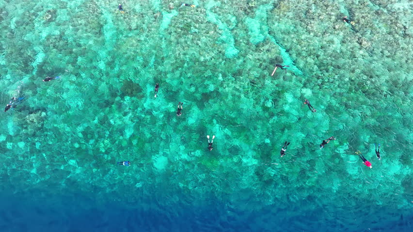 Snorkelers drift along the edge of a coral reef drop-off in Wakatobi National Park, Indonesia. This area harbors high marine biodiversity and is a popular destination for divers and snorkelers.
