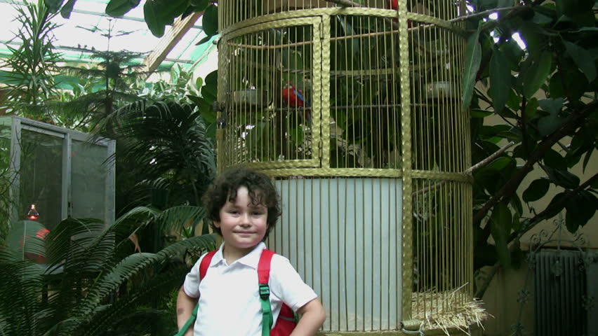 Little boy at the zoo