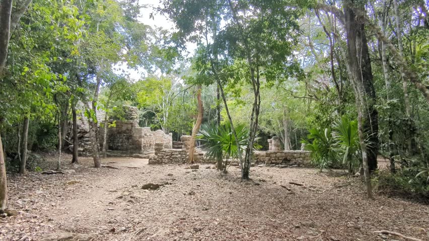 COBA ancient Mayan pyramids in the lush jungle near Tulum in Mexican Yucatan Peninsula.Mexico America