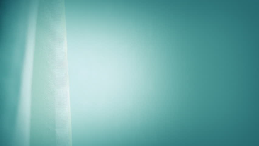 Fly Lands On Curtain And Preens Then Flies Off