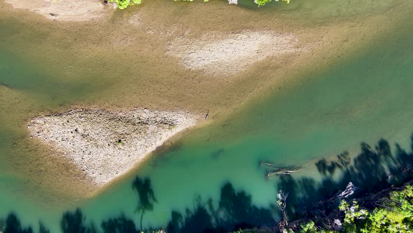 Drone footage captures a saltwater crocodile moving along a riverbank in Port Douglas, Australia, under bright daylight