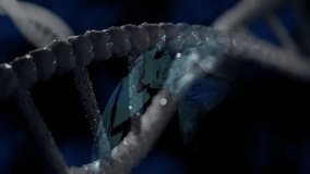 Camera moving along rotating 3D DNA helix revealing globe showing molecular structure. Molecular, biotech, scientific, innovation, futuristic, technology, global - Powered by Shutterstock - Get 15% off with code: PIKWIZARD15