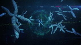 Starting simulation showing luminescent chromosomes drifting merging into double helix for research. Futuristic, science, technology, molecular, visualization, abstract, innovation - Powered by Shutterstock - Get 15% off with code: PIKWIZARD15