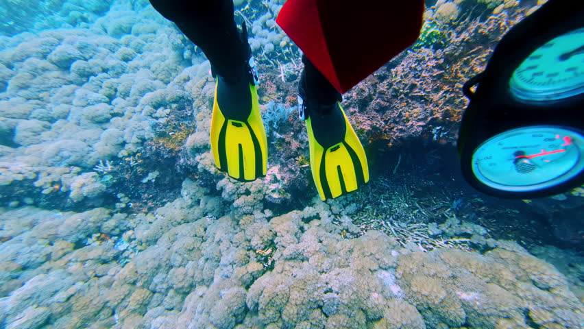 A thrilling first-person point of view (POV) shot shows a scuba diver's fins and pressure gauge while swimming over a beautiful coral reef during an adventurous dive in Bali, Indonesia.
