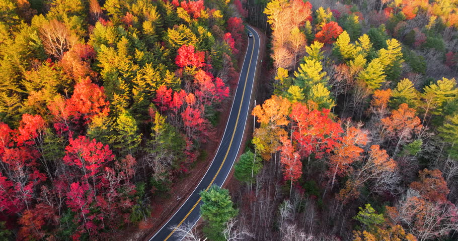 Golden autumn landscape in Appalachian mountains of North Carolina. Forest road winds through hills with vibrant fall foliage