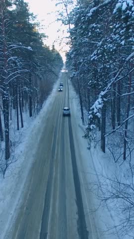 Remote winter road surrounded by tall trees gently blanketed with snow. Cars carefully drive along the icy path as sunlight filters through the branches.
