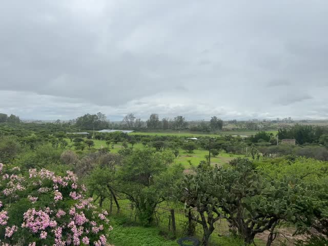 Raining in the morning in Jalisco