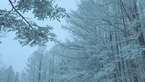 Aerial View of Winter Mountain Sunrise – Frosty Dawn and Holiday Scenery - Powered by Shutterstock - Get 15% off with code: PIKWIZARD15