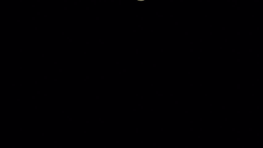 Shutterstock Video