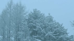 Aerial View of Winter Mountain Sunrise – Frosty Dawn and Holiday Scenery - Powered by Shutterstock - Get 15% off with code: PIKWIZARD15
