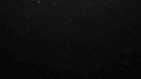 Subtle dust motes or organic particles float gently against a black background. Perfect overlay for adding atmosphere, realism, or a vintage feel - Powered by Shutterstock - Get 15% off with code: PIKWIZARD15