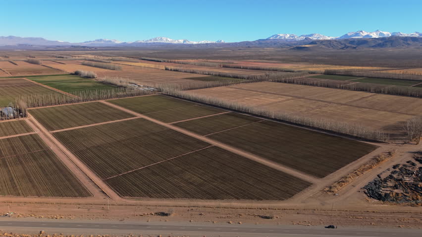 Aerial view of garlic plantations spreading across rural plains of Mendoza, Argentina. Framed by Andes