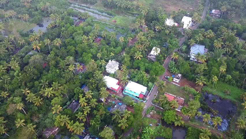 Aerial view of lush green Indian village with coconut trees, scattered houses, ponds, serene roads, showcasing rural lifestyle, nature’s charm, calm environment, and authentic village life