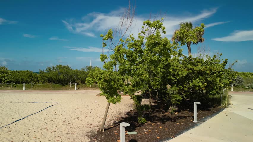 Aerial view of Miami Beach with the turquoise ocean meeting the sandy shore, contrasting against the green vegetation and blue skies, Miami Beach, Florida, United States.