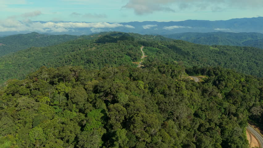 Aerial footage of Tropical rainforest beautiful nature landscape. Lush of evergreen jungle with dense rainforest at Trusmadi Tambunan, Sabah, Malaysia