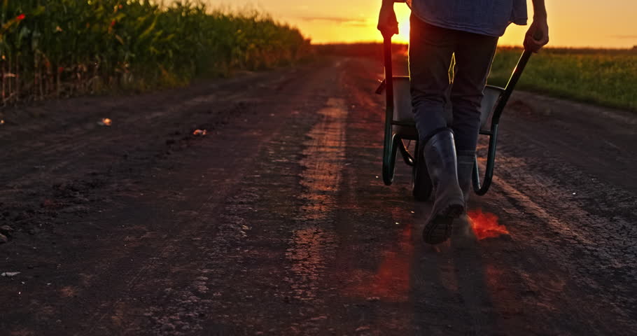 Farmer walking along a country road at sunset, pushing a wheelbarrow filled with fresh produce after a day in the field. High quality 4k footage