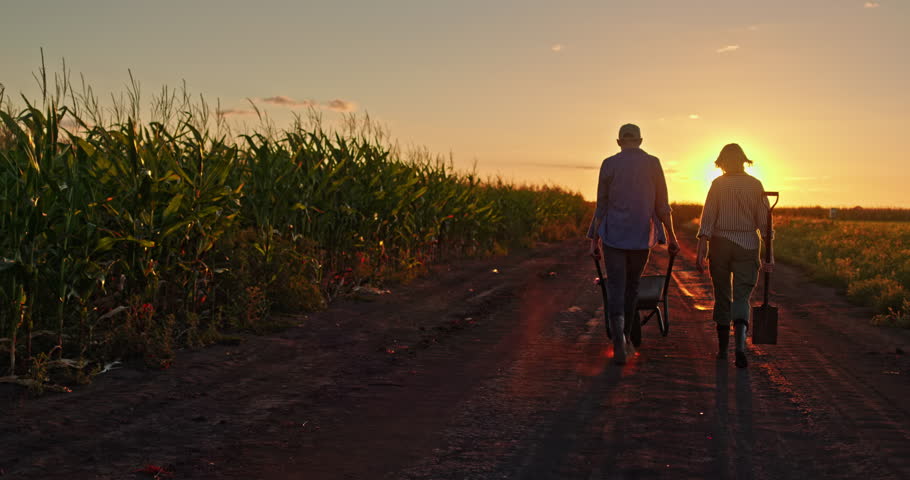 Couple walking along a rural road at sunset, carrying a shovel and pushing a wheelbarrow after working in the cornfield. High quality 4k footage