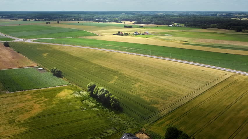 Aerial view of green and golden agricultural fields with road intersection. Scenic rural landscape with farmland, crop textures and countryside infrastructure on a sunny summer day. Ideal for concepts