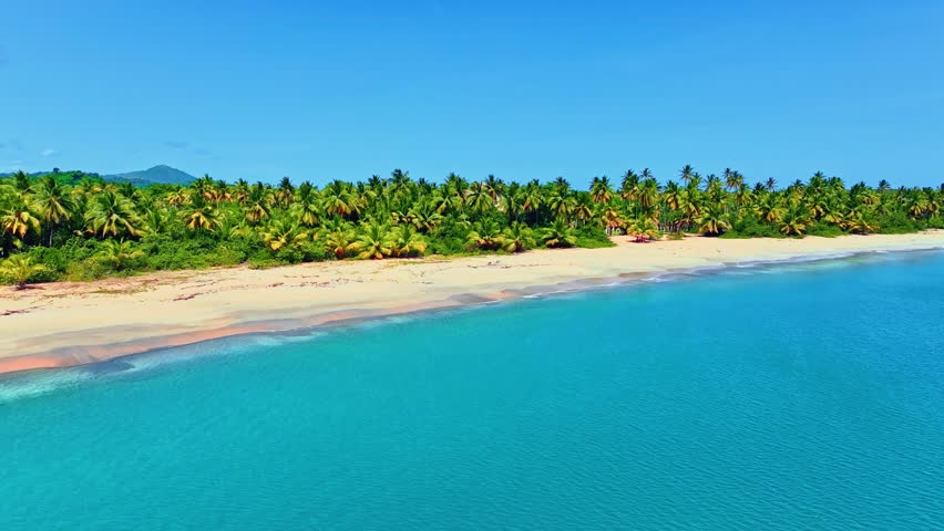 Azure Caribbean Sea and palm trees. The shore of peaceful sea waves. Palm trees, blue sea and clean sandy paradise beach. Summer travel concept background. Sunny daytime landscape.