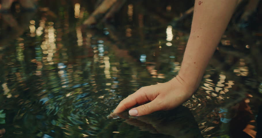 Hand gently skims across cenote water reflecting trees and light in Yucatan Mexico