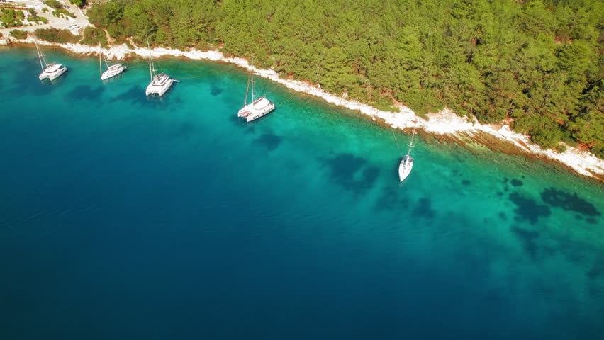 Catamarans anchored in clear shallow waters near forested coastline in Fiskardo