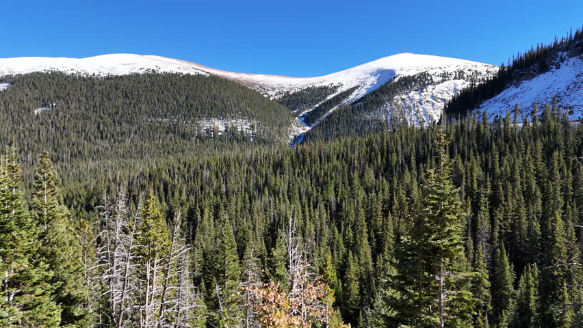 DRONE VIEWS OVER PINE TREE FOREST IN THE ROCKY MOUNTAINS COLORADO 