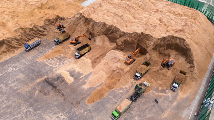 Time lapse wood chips with backhoe working load unload chip to truck concept green fuel for save earth. renewable energy from wood Chips