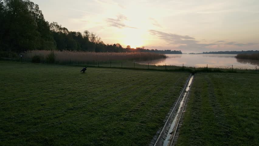 Spring Morning Over a Pond and Birds Flying to the Sun
