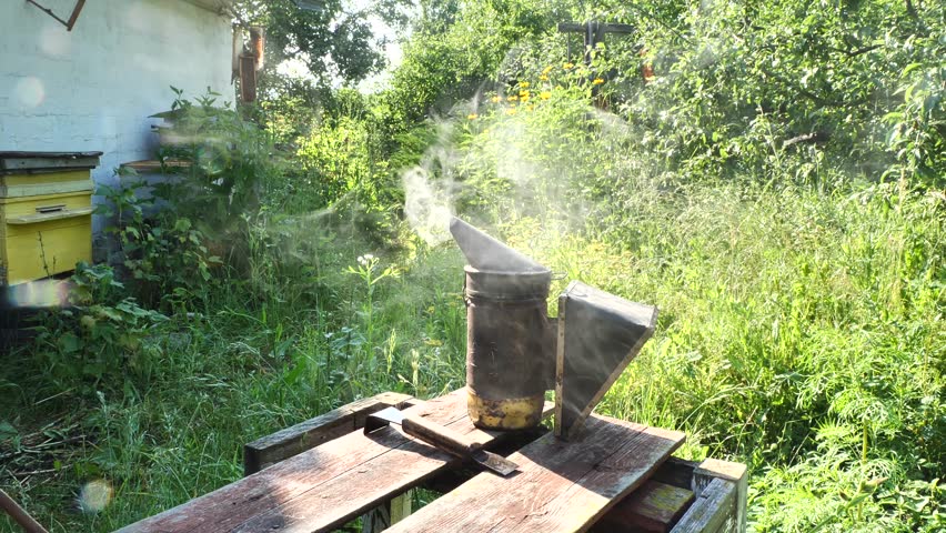 A smoker is one of the main beekeepers tools. Its smoke is used to calm the bees. 
