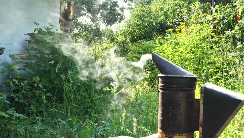A smoker is one of the main beekeepers tools. Its smoke is used to calm the bees. 