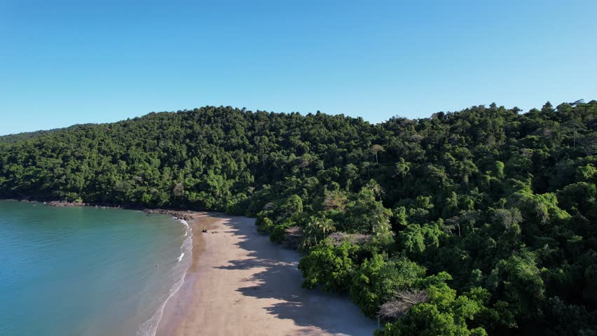 Etty bay beach with forest, famous for cassowary birds queensland, aerial view